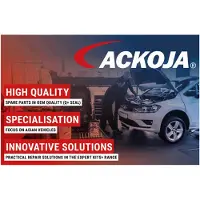 ACKOJA A52-0888 Radiateurslang