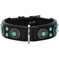 Hunter Leren Halsband Sioux