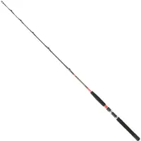 Daiwa Megaforce Ar Trolling Rod Zilver 1.70 m / 30-50 Lbs