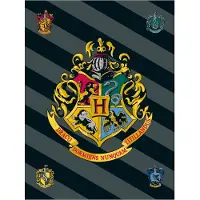 SimbaShop Harry Potter Fleece deken Logo - 100 x 150 cm - Polyester