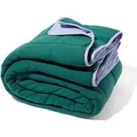 HEMA Bedsprei 260x235cm jersey groen-lila (groen)