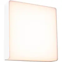 Paulmann Azalera 94841 LED-buitenlamp (wand) LED 8.5 W Wit