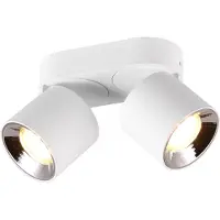 TRIO Plafondlamp Guayana 2-lichts wit