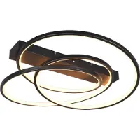 TRIO Plafondlamp Darvin Zwart