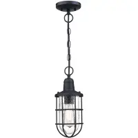 WESTINGHOUSE Crestview buiten hanglamp, kooi Crestview, dimbaar, zwart, metaal, Industrieel design