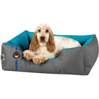 BedDog : Hondenbed, LUPI: Hondenkussen, Hondenmand met wasbare hoes