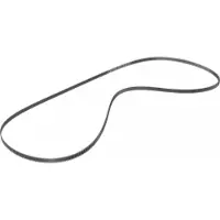 Zortrax M200 / M200 Plus GT2 Belt X/Y (long)