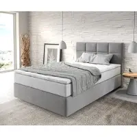 DELIFE Boxspringbed Dream-Fine 120x200 cm Microvezel Grijs met TFK Matras en Visco Topper