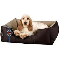 BedDog : Hondenbed, LUPI: Hondenkussen, Hondenmand met wasbare hoes