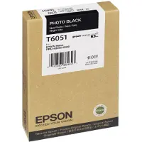 Epson Inktcartridge T605 (C13T605100) Foto-zwart
