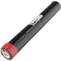 AccuCell Noodverlichtingsbatterij NiCd 4,8V 4000mAh D-formaat - Mono-D - Faston aansluiting