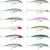 Rapala X-rap Saltwater Minnow 22g 120 Mm Veelkleurig