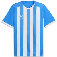 Puma teamLIGA26 Striped Voetbalshirt Blauw Wit