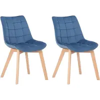 CLP 2-delige eethoekstoelen, model Passaic, fluweel, gestoffeerd, blauw