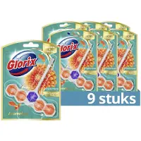 Glorix 9x Toiletblok Aroma & Fresh Hahlia Flower