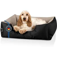 BedDog : Hondenbed, LUPI: Hondenkussen, Hondenmand met wasbare hoes