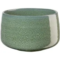 Asa selection Kom Moribana Matsu Shiny Green 12 cm