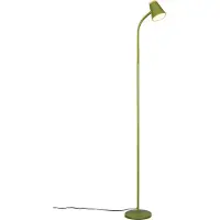 TRIO Vloerlamp Pongo groen