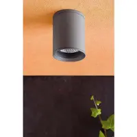 Faro Kwaliteitsvolle outdoor plafondlamp Tasa TASA, dimbaar, alu / grijs / zink, Aluminium, Modern, plafondlamp