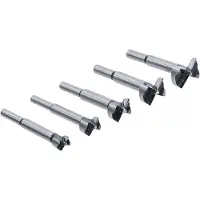 Bgs Forstnerboorset - 5 delig