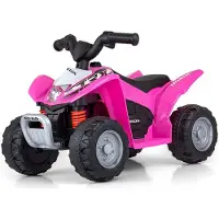 Milly Mally Honda ATV elektrische kinderquad 6V - Accuquad