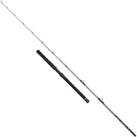 Penn Regiment Iv Halibuster Spinning Rod Zilver 2.40 m / 30-50 Lbs