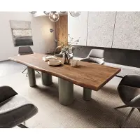 DELIFE Eetkamertafel Edge 260x100 XL acacia bruin Pilier metaal effectafwerking titaan Live-Edge