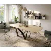 DELIFE Eettafel Edge Boot 260x120 cm Keramiek Laminam Sabbia Eichefarbig Spider Flachstahl Roestvrij staal