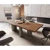 DELIFE Eetkamertafel Edge 260x100 XL acacia bruin Troa metaal effectafwerking titaan Live-Edge