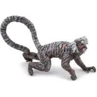 Papo Figurine - - Ouistiti - Ultra realistisch - Handgeschilderd - 3.4 x 6.7 x 2 cm