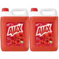 Ajax 2x Allesreiniger Rode Bloemen 5 Liter
