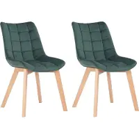 CLP 2-delige eetkamerstoelen, model Passaic, fluweel, gestoffeerd, groen