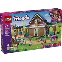 LEGO Stable And Riding Academy Construction Game Veelkleurig Kinderen