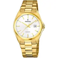 Festina Heren Classics Horloge (Ø 40 mm)