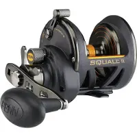 Penn Squall Ii Star Drag Trolling Reel Zwart 25N