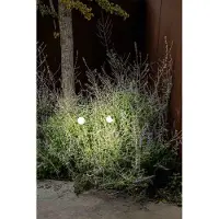 Faro LED sokkellamp Cuca, zwart, roestvrij staal/glas, hoogte 65 cm Cuca, zwart, Roestvrij staal, Modern, buitenlamp
