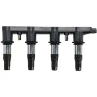 Delphi CE01841-12B1 Bobine