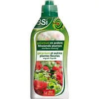 Bsi Geranium en andere bloeiende planten Polyester