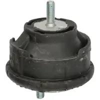 Delphi Aslichaam-/motorsteunlager TEM127