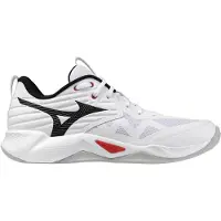 Mizuno Wave Momentum Pro Heren