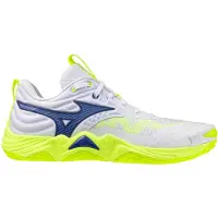 Mizuno Wave Momentum Elite