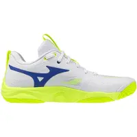 Mizuno Schoenen Wave Momentum Elite V1GA251239
