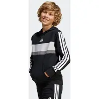 Adidas Sportief sweatshirt 'SEASONAL ESSENTIALS TIBERIO 3 STRIPES FLEECE' grijs / lichtgrijs / zwart / wit