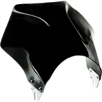 Puig Raptor Universal Voorruit