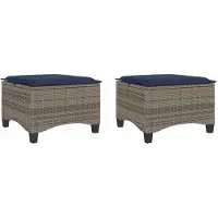 vidaXL Tuinkrukken met kussens 2 st 55x55x36 cm poly rattan grijs