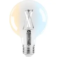 Sylvania Smart lamp E27 | Globe G95 | Helder | 2000-6500K | WiFi | 7W