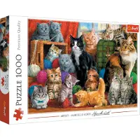 Trefl Katten Puzzel - 1000 Stukjes Legpuzzel - Vanaf 12 jaar