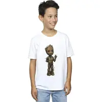 Marvel Jongens Ik Ben Groot Golf Positie T-Shirt (Wit)