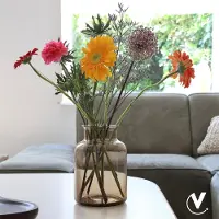 Vase the World Vaas Kama | Taupe | Mondgeblazen glas | Ø15 x H21,5 cm