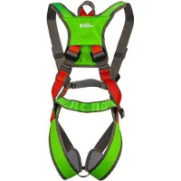 Rock Empire - Rugrat - Complete gordel One Size, grijs